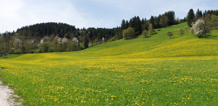 Jaro pod alpami