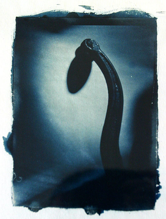 cyanotype 2