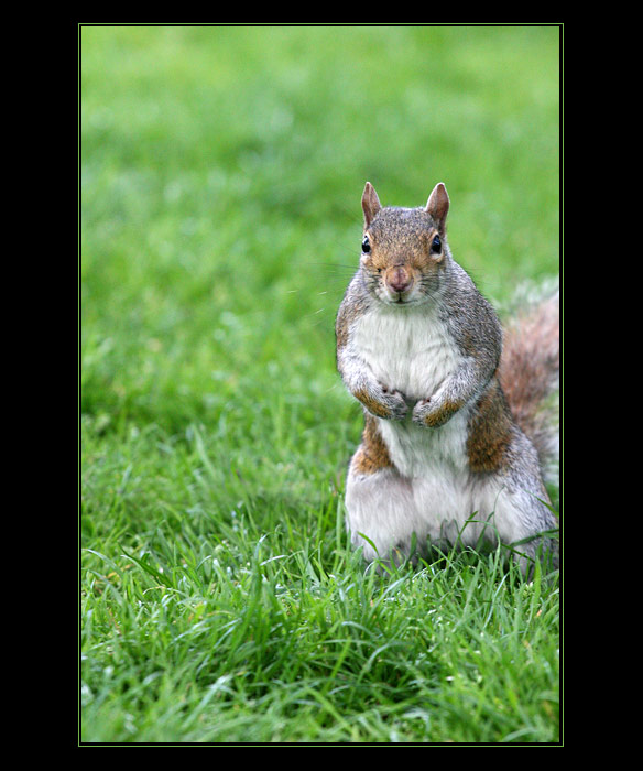 <b>.. děsně to svědí ..</b>