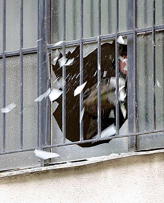 Vandal