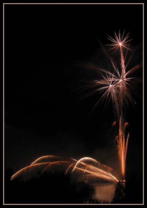 Stars in the night