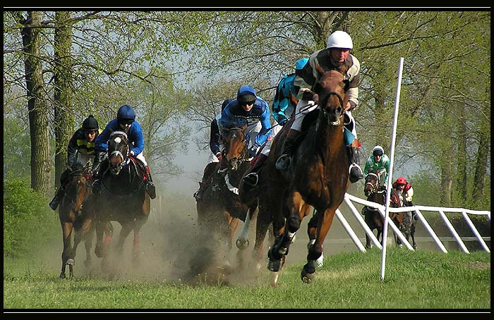 Dostihové odpoledne