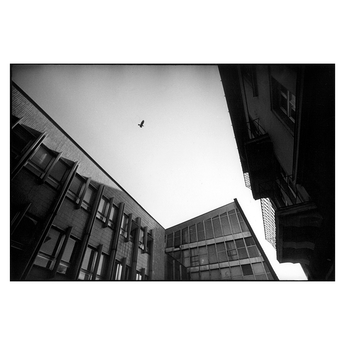 aerials 2/3