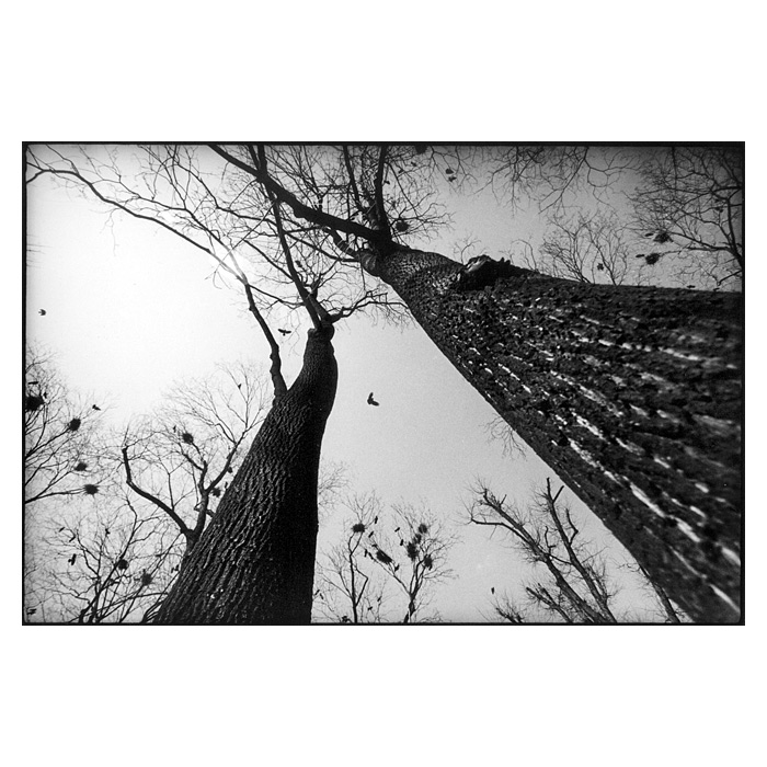aerials 3/3