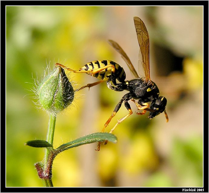 *** simulace pádu ze schodů ***