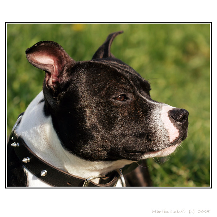 <b>Roky</b>