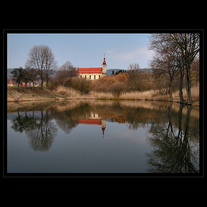 Konojedy