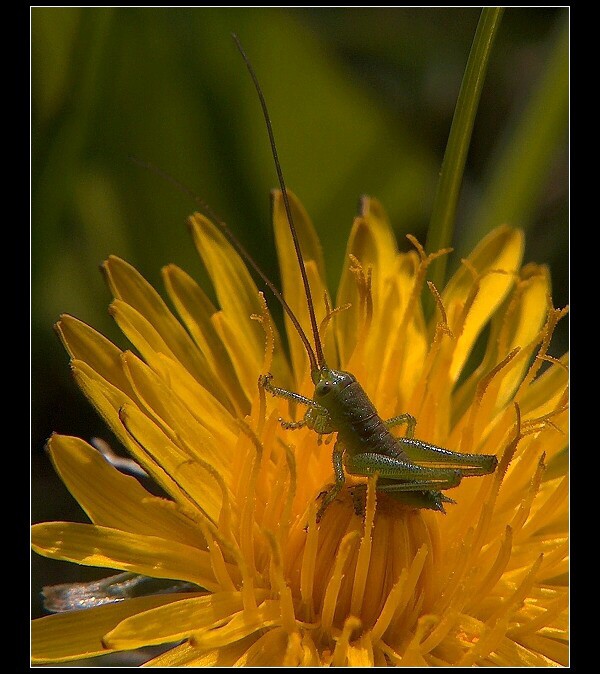 tak si tu tak sedím ...