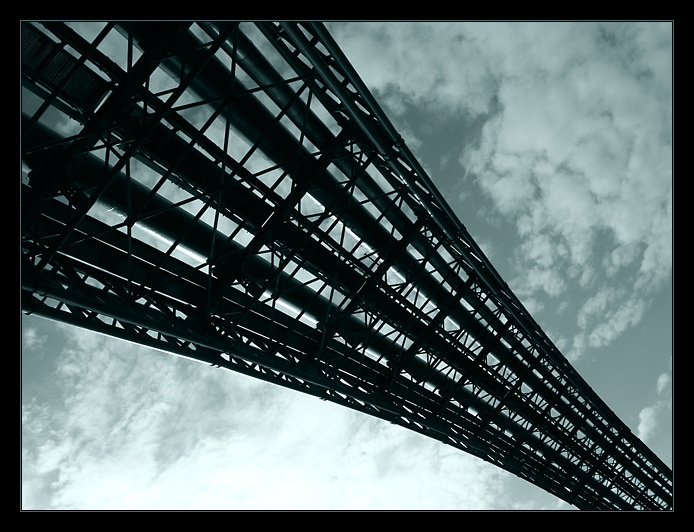 ...orbitalis diagonalis...