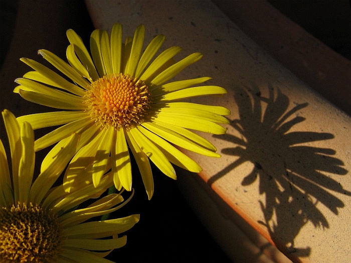 Jen takové lehounké sluneční pohlazení