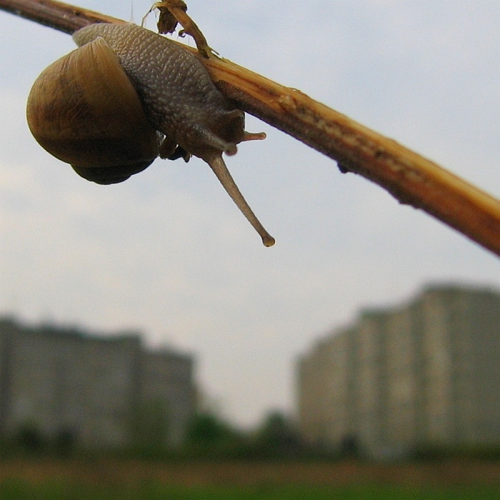 Z výšky tiše žasnu