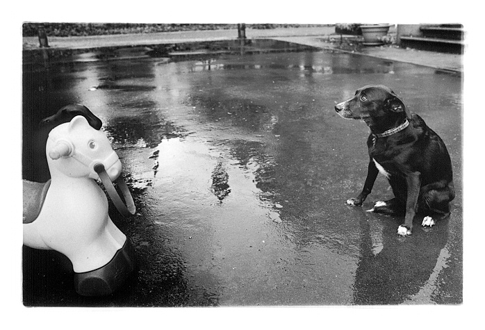 Po dešti
