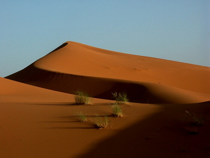 Erg Chebbi