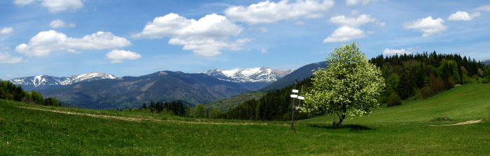 panorama