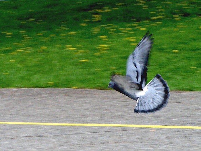 podvozek vytáhnout!