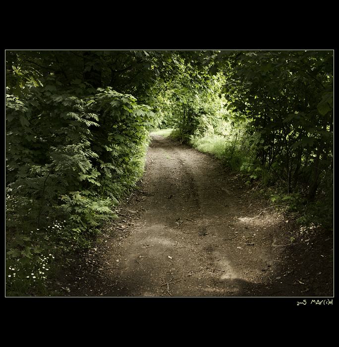 ..:: taJemná ceSta ::..