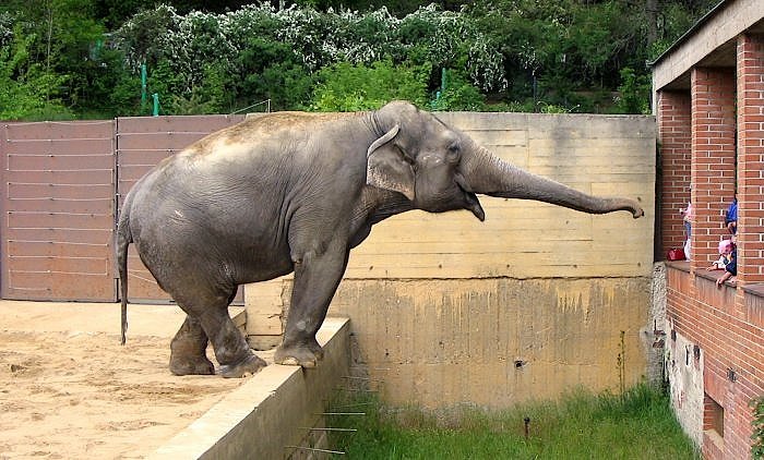 nespadnu, nebojte lidi :)