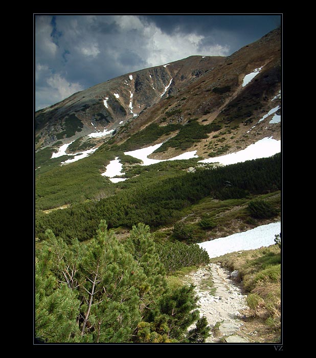 Nízké Tatry - pod Chopkom