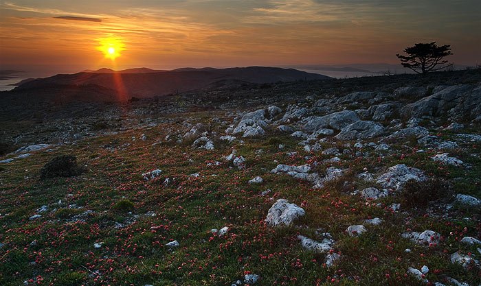 Podvečer na Hvaru II