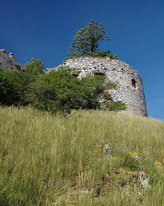 Zub času