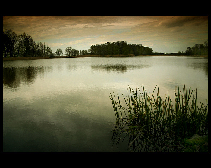 Třeboňské rybníky - obraz I.
