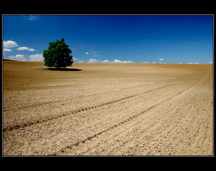 ...malotraktorem....:o))