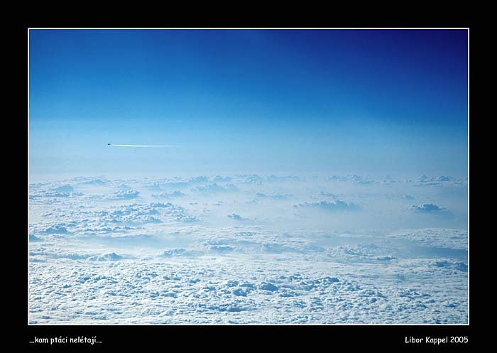 ...kam ptáci nelétají...