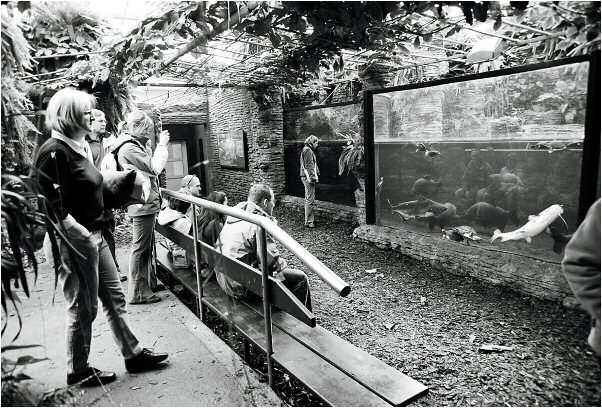 Zoologické zrcadlení III: Šupiny, které znamenají svět