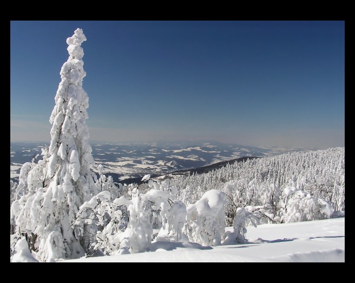 **zimní pohlazení**