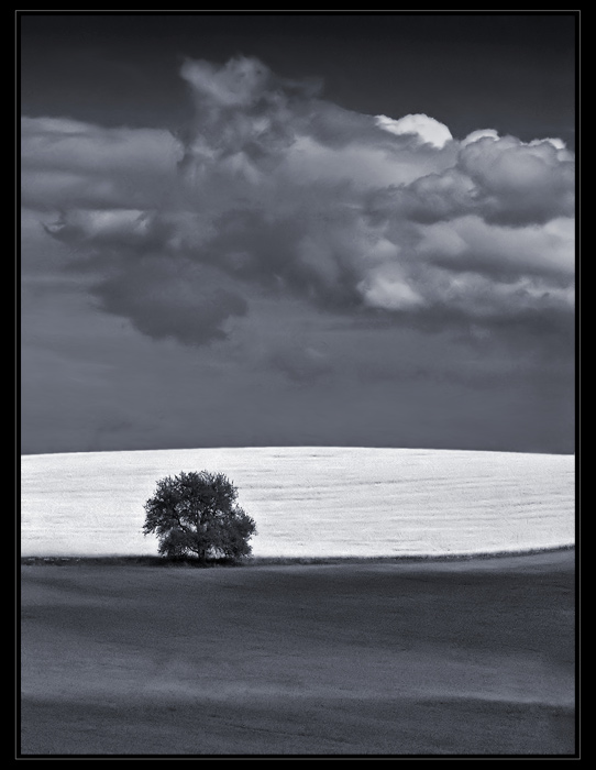 Strom
