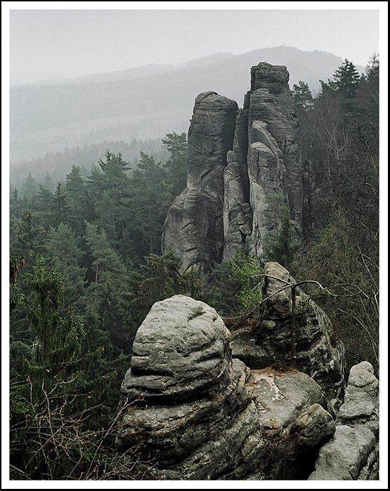 Prachovské skály IV.