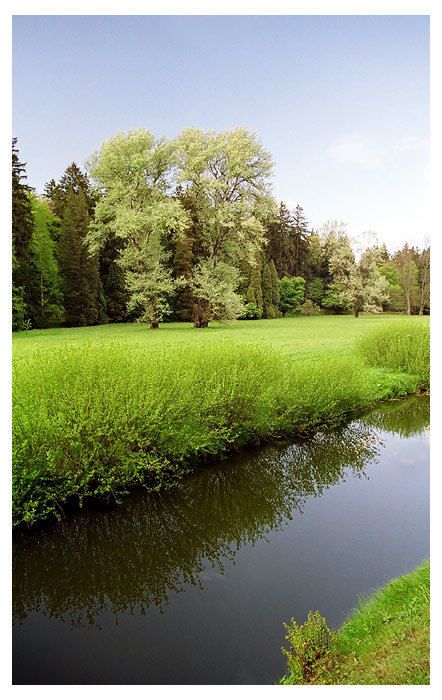 Průhonický park V.