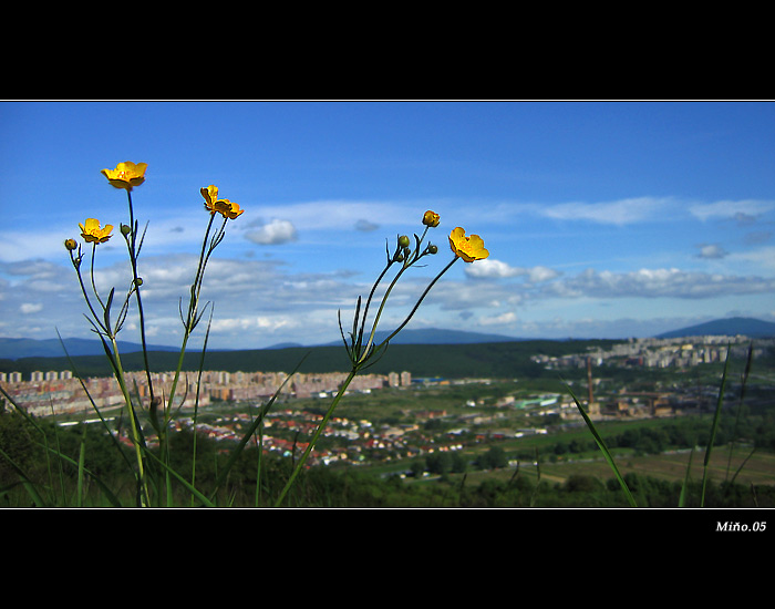 <b>... Košická kotlina ...</b>