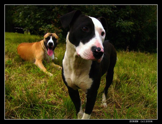 Zas nas fotis? Tato sa im nebude pacit na PP