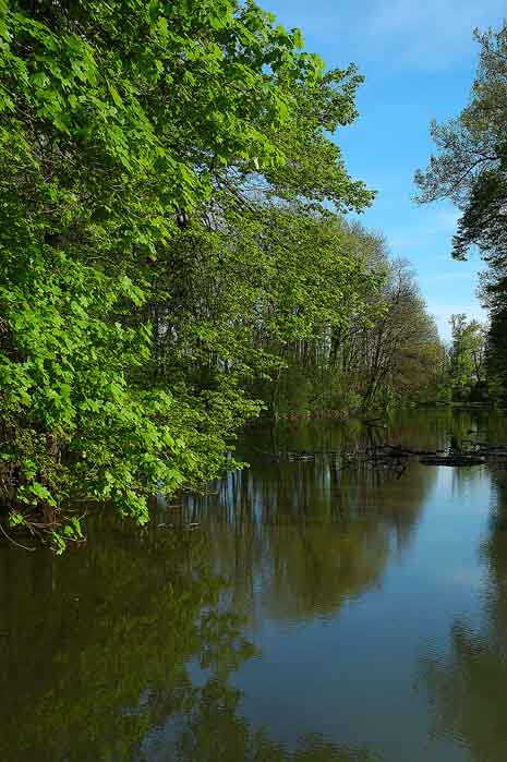 o s e c k ý rybník