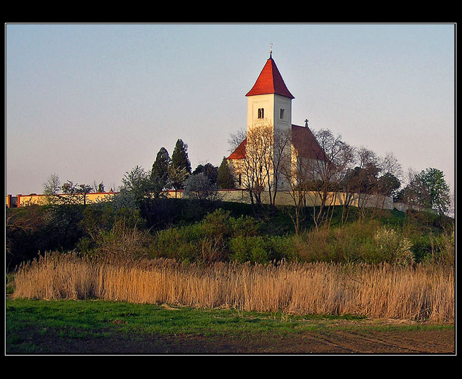 Krteň na jaře