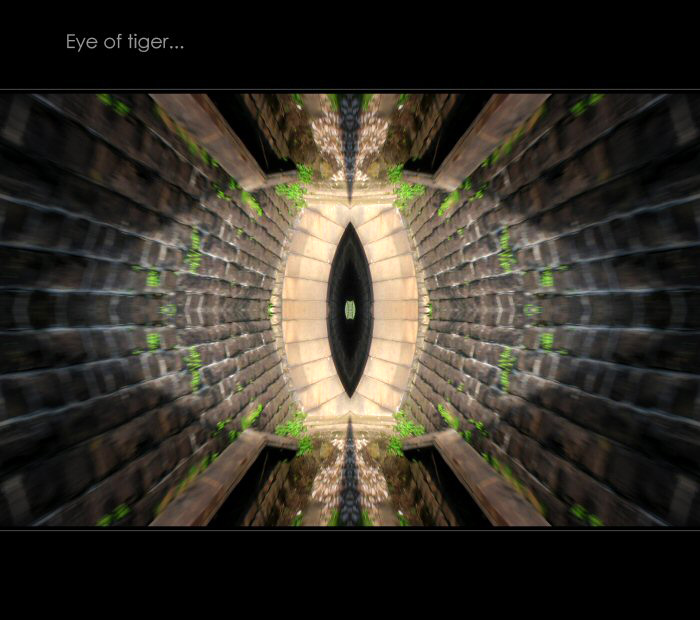 Eye of tiger
