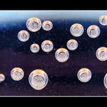 Souhvězdí "Bublinky"