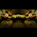 titulek nechám na Vás