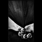 každej podle svýho