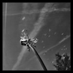 <b>>ODVIATE VETROM<<br>