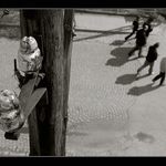 ..jak to vidí ptáci..