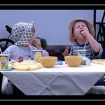 Aby si nesnědl ruku