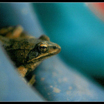 černý pasažér mezi gumovkama podruhé