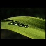 Skleněné kuličky...