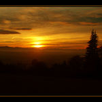 <b><u>*****Orange sun*****</b></u> </a></span><br>