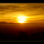 <b><u>*****LIGHT*****</b></u> </a></span><br>