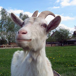 A teď se budu fotit já!