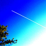 VeronikAirlines