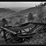 <b>Skokanský mostík